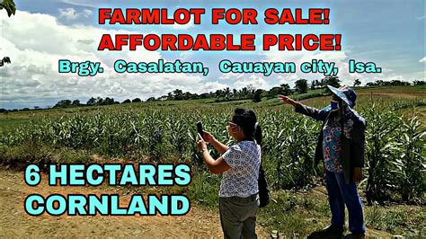 Properties For Sale in Casalatan, Cauayan .